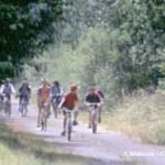 La voie verte à vélo en baie du mont saint michel